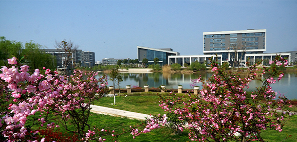 我的大學(xué)-大學(xué)志