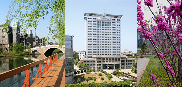 我的大學(xué)-大學(xué)志