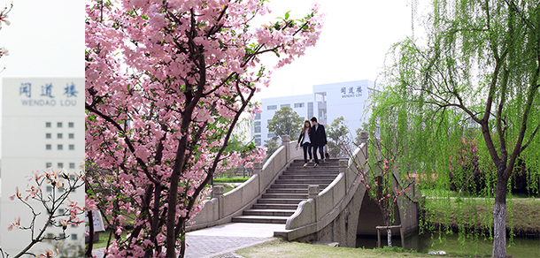 我的大學(xué)-大學(xué)志