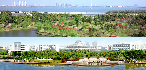 我的大學(xué)-大學(xué)志