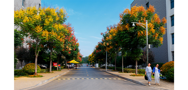 我的大學(xué)-大學(xué)志