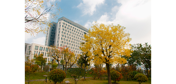 我的大學(xué)-大學(xué)志