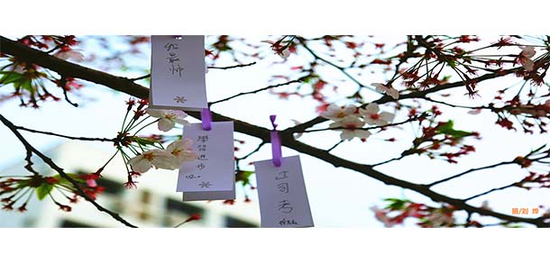 南京警察學(xué)院