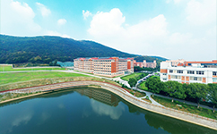 歷史沿革(概)校史