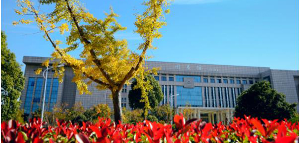 我的大學-大學志
