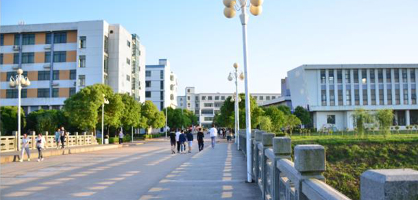 我的大學-大學志