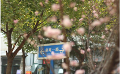 歷史沿革(概)校史