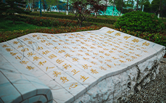 招生公告 · 招生簡(jiǎn)章 · 招生計(jì)劃