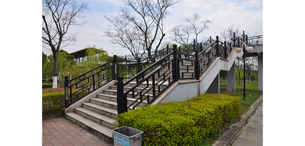 我的大學(xué)-大學(xué)志
