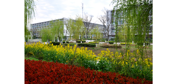 我的大學(xué)-大學(xué)志