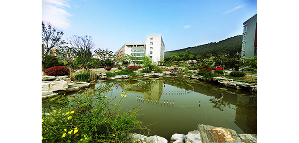 我的大學(xué)-大學(xué)志