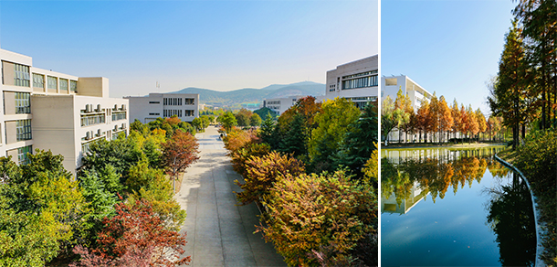 我的大學-大學志