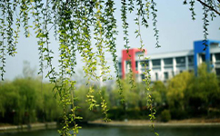 鹽城幼兒師范高等?？茖W(xué)校 - 我的大學(xué)