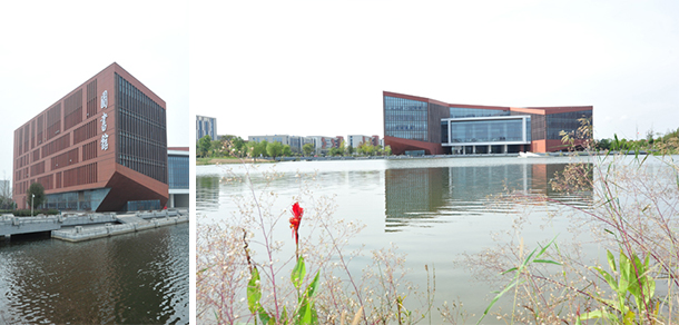 我的大學(xué)-大學(xué)志