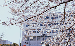 招生公告 · 招生簡章 · 招生計(jì)劃