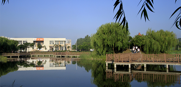 我的大學(xué)-大學(xué)志
