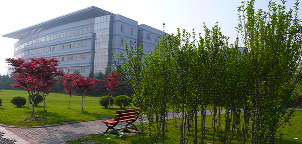 我的大學(xué)-大學(xué)志