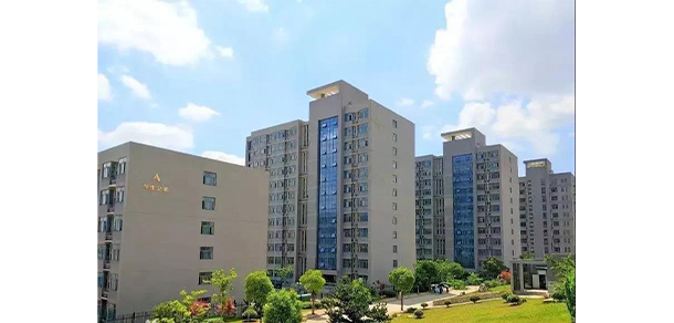 我的大學(xué)-大學(xué)志
