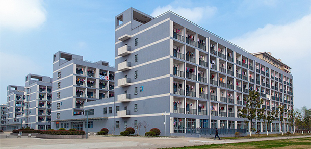 我的大學(xué)-大學(xué)志
