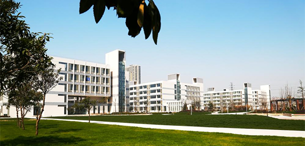 我的大學(xué)-大學(xué)志