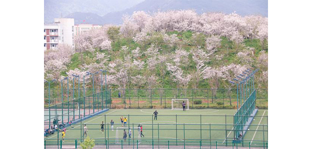 我的大學-大學志