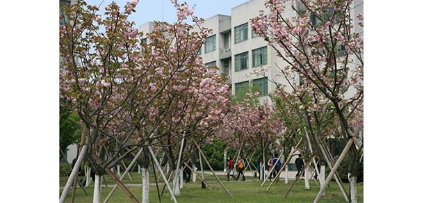 浙江水利水電學院 - 最美院校