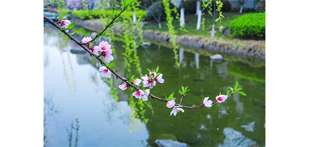 我的大學(xué)-大學(xué)志