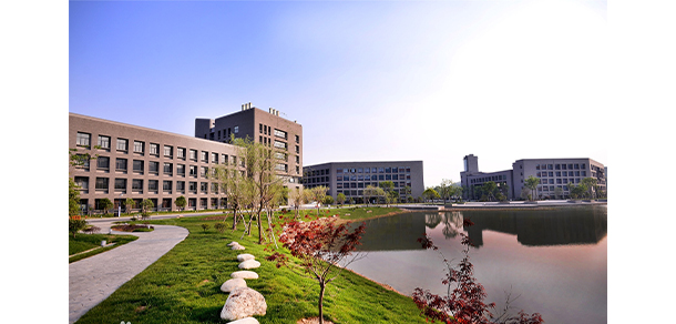 我的大學(xué)-大學(xué)志
