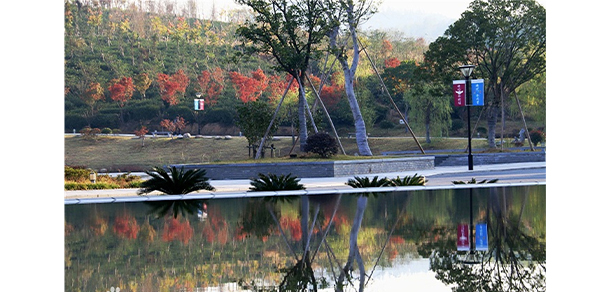 我的大學(xué)-大學(xué)志