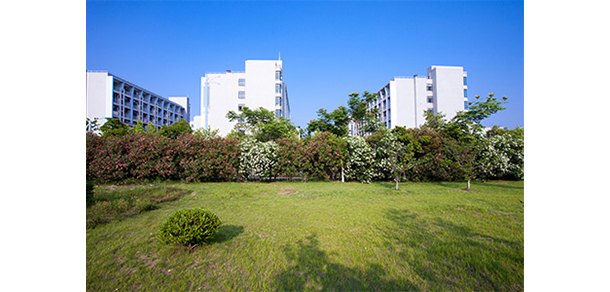 我的大學-大學志