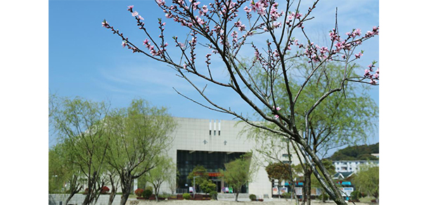 我的大學(xué)-大學(xué)志