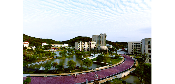 我的大學(xué)-大學(xué)志
