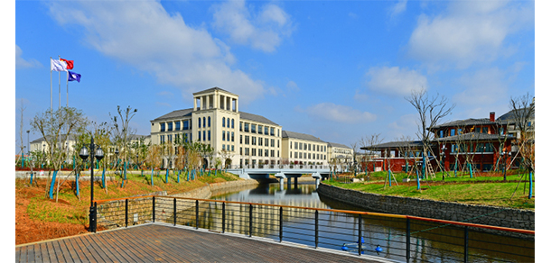 我的大學(xué)-大學(xué)志