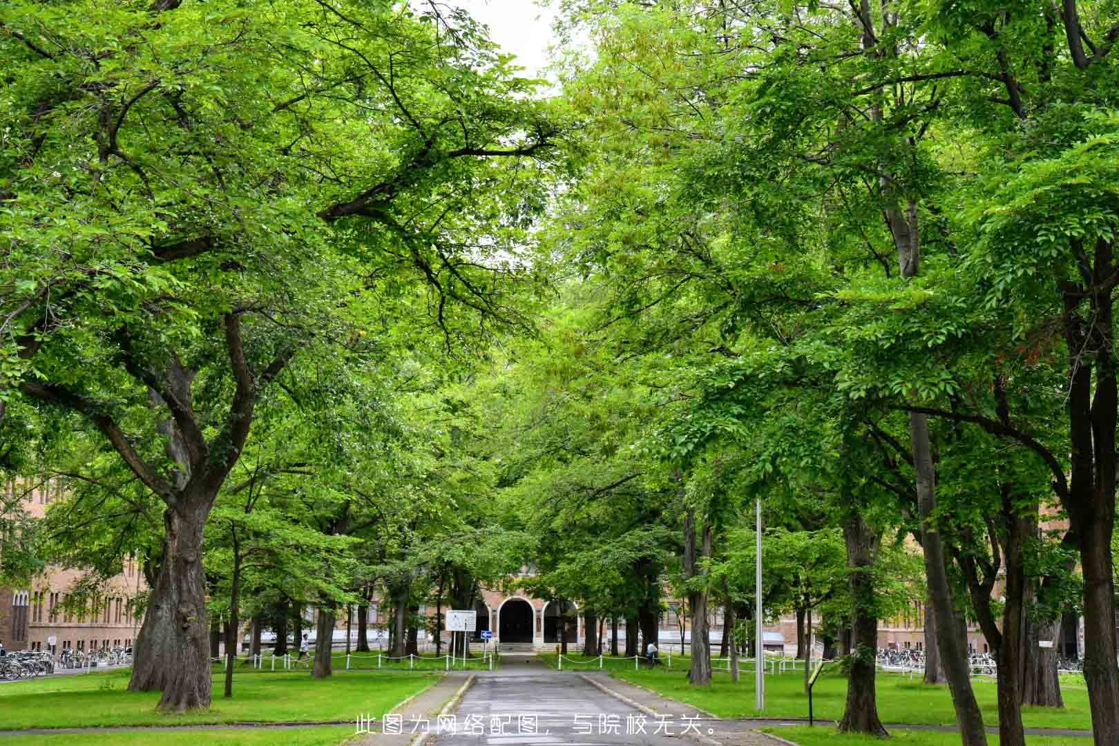 中國科學技術(shù)大學-校園風景