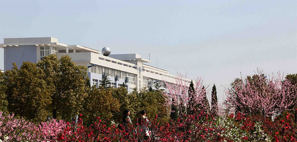 2022年招生分數(shù)