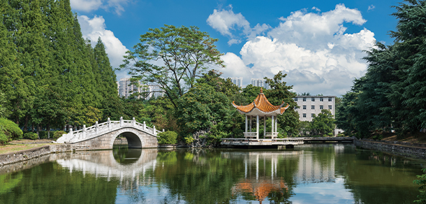 我的大學-大學志