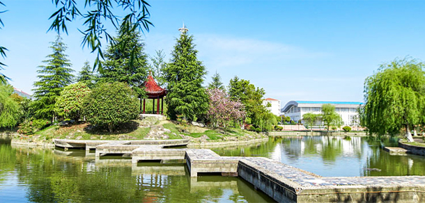 我的大學(xué)-大學(xué)志
