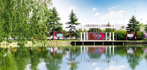 我的大學(xué)-大學(xué)志