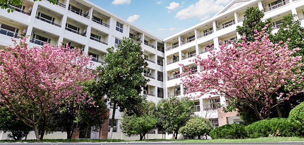 我的大學(xué)-大學(xué)志