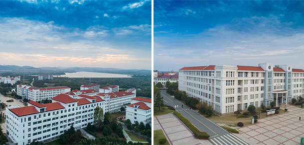 我的大學(xué)-大學(xué)志