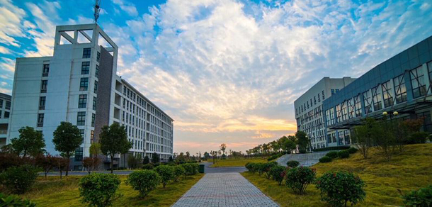 我的大學(xué)-大學(xué)志
