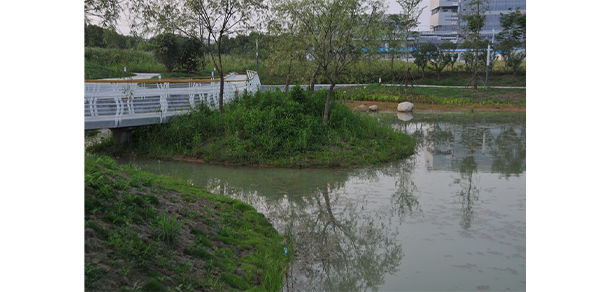 安徽體育運動職業(yè)技術(shù)學(xué)院 - 最美大學(xué)