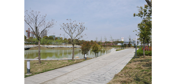 安徽體育運動職業(yè)技術(shù)學(xué)院 - 最美大學(xué)