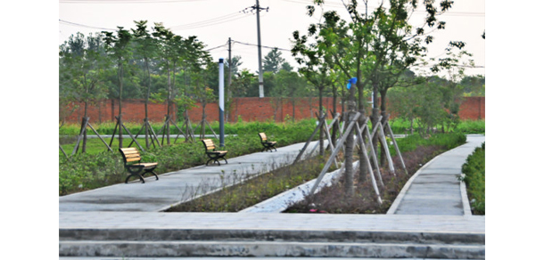 安徽體育運動職業(yè)技術(shù)學(xué)院 - 最美大學(xué)