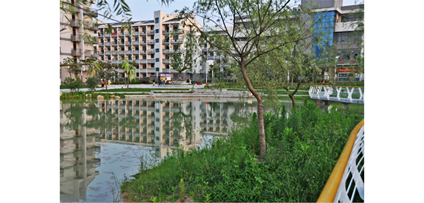 安徽體育運動職業(yè)技術(shù)學(xué)院 - 最美大學(xué)