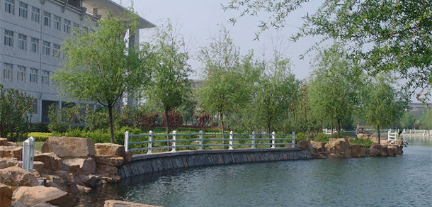 我的大學(xué)-大學(xué)志