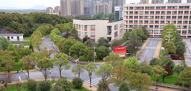我的大學(xué)-大學(xué)志