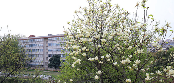 我的大學(xué)-大學(xué)志
