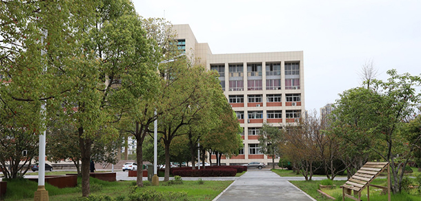 我的大學(xué)-大學(xué)志