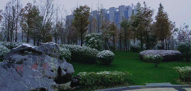 安徽國際商務職業(yè)學院 - 最美大學